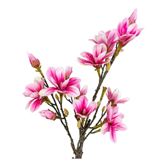 Magnoliaboom - Groen/Rosa, PE-kunststof, H:74 cm