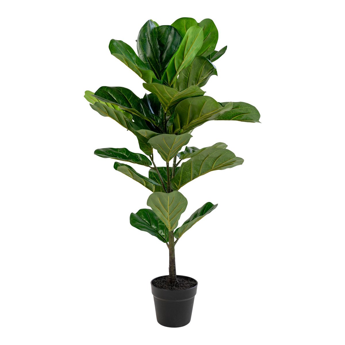 Fiddle Leaf Tree - Groen, PE-kunststof/polyester/cement, 36x46x100 cm