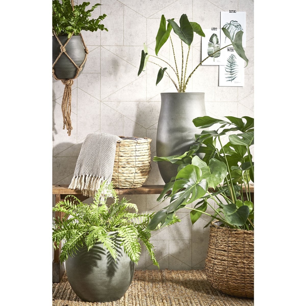Plantenmand Avalon Lichtbruin