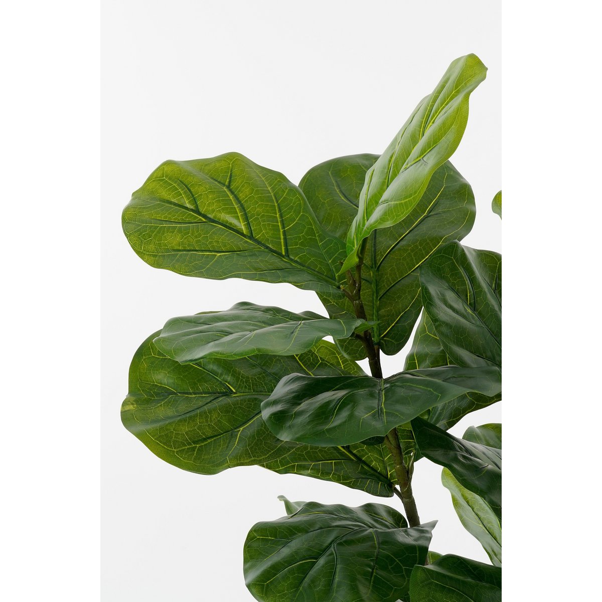 Kunstplant Ficus Groen