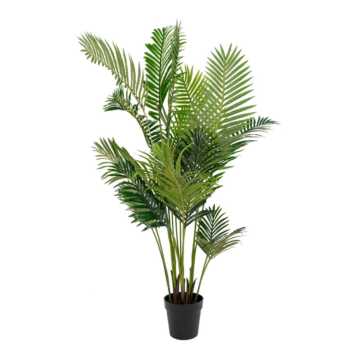 Areca Palm - Groen, PE Kunststof/Polyester, 64x64x175 cm