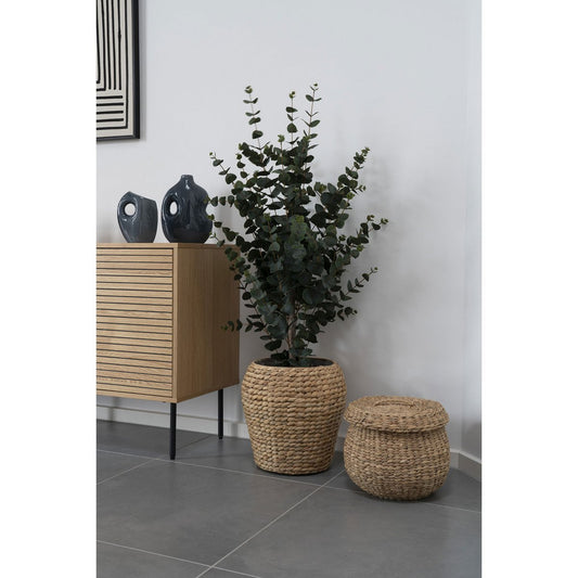 Eucalyptusboom - Groen, PE-kunststof, polyester, draad, cement, 120 cm